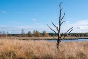 LWV versnellingsbrief stikstofimpasse